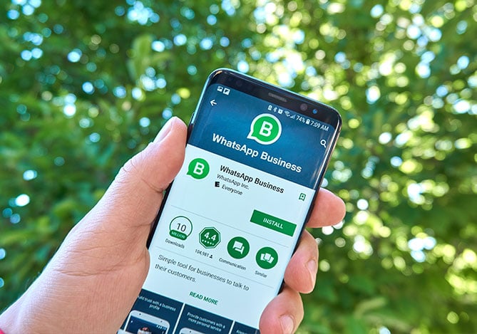 Mercado Pago: celular com tela para baixar o aplicativo WhatsApp Business